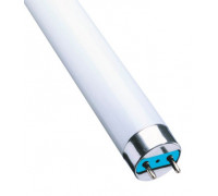 Лампа TDM линейная люминисцентная 36Вт G13 Т8 дневн свет 2-х цокальная ЛД-36 (L 36W/765) SQ0355-0030
